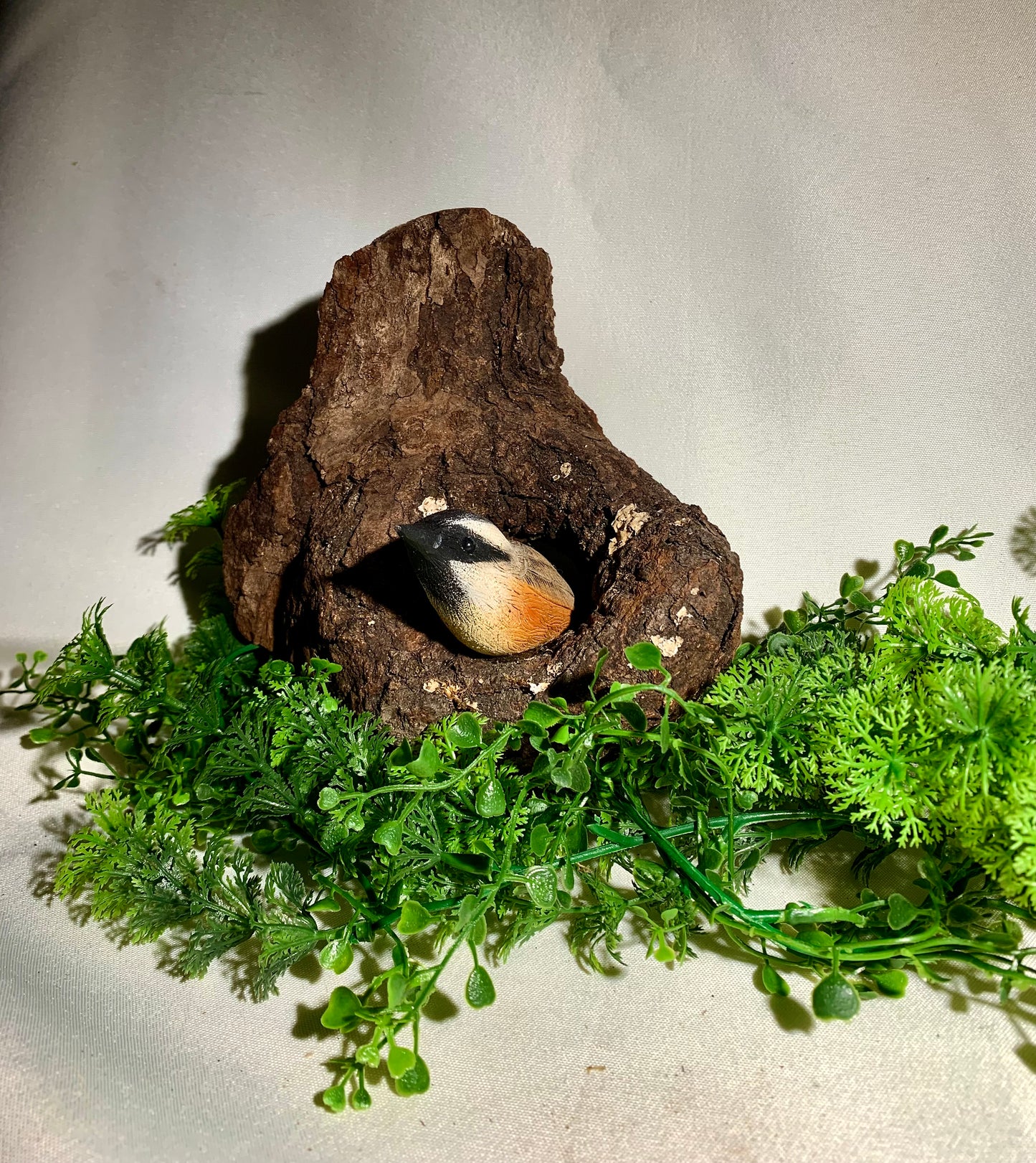 Nuthatch in a Hollow