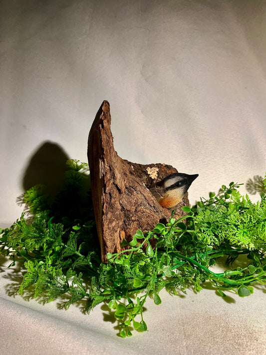 Nuthatch in a Hollow