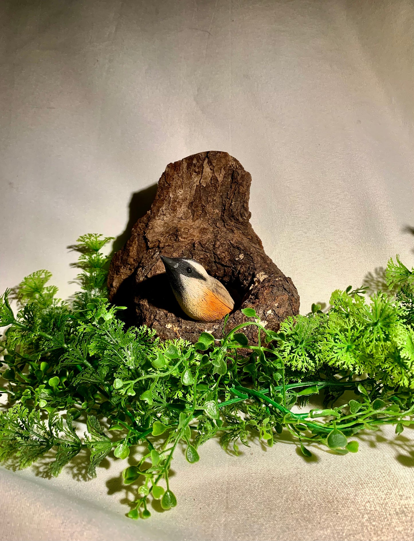 Nuthatch in a Hollow