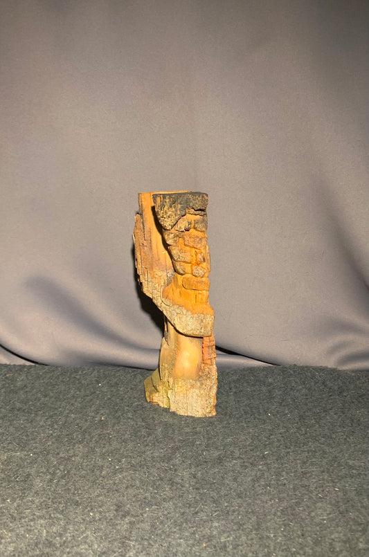 Bark House