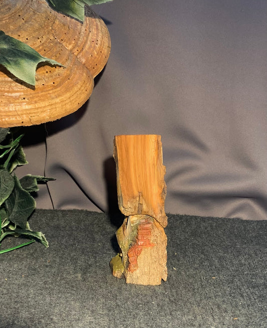 Bark House