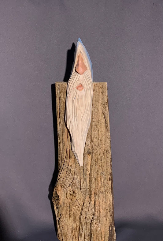 Shelf Elf