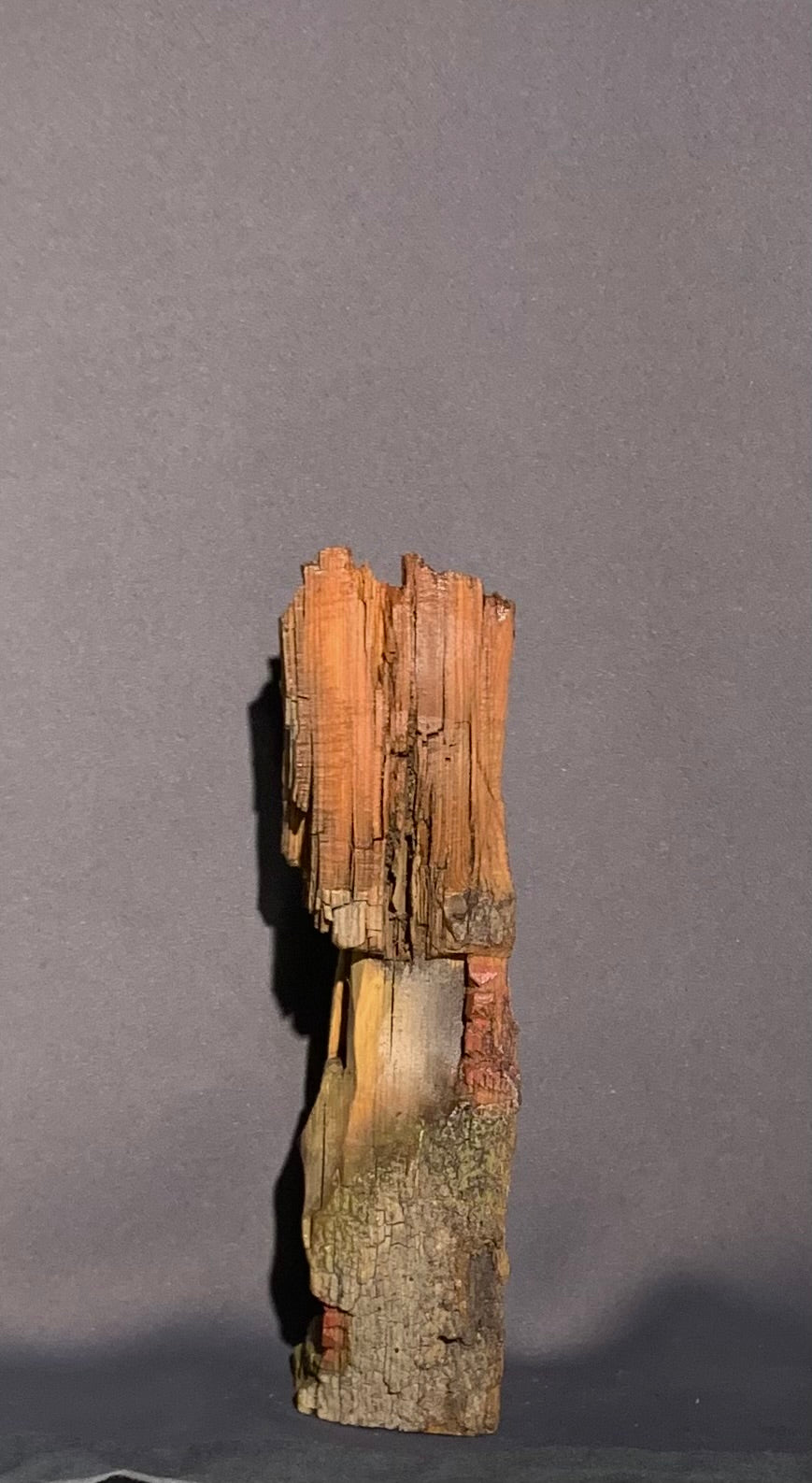 Bark House
