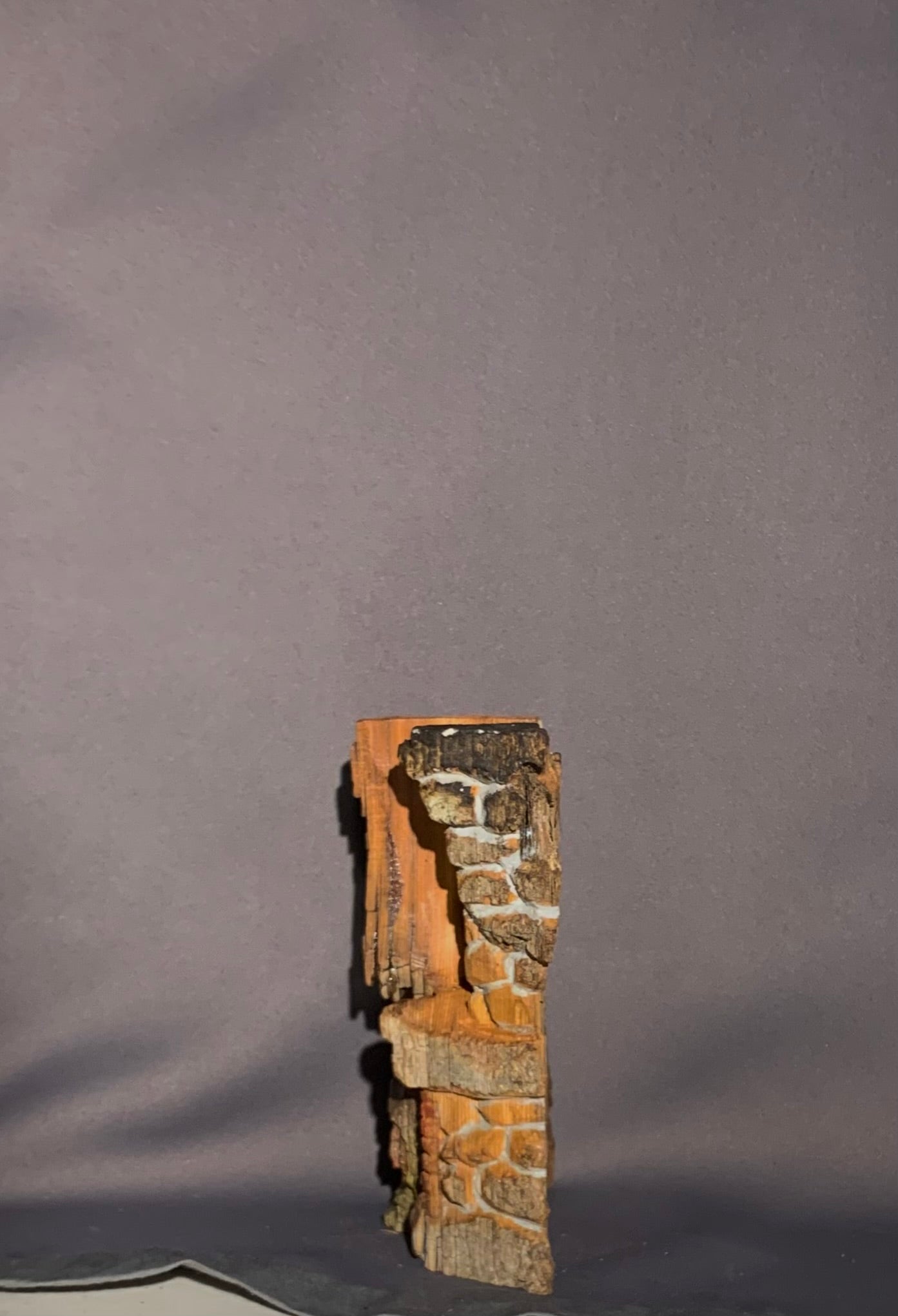 Bark House