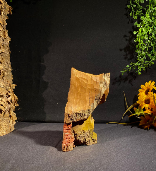 Bark House