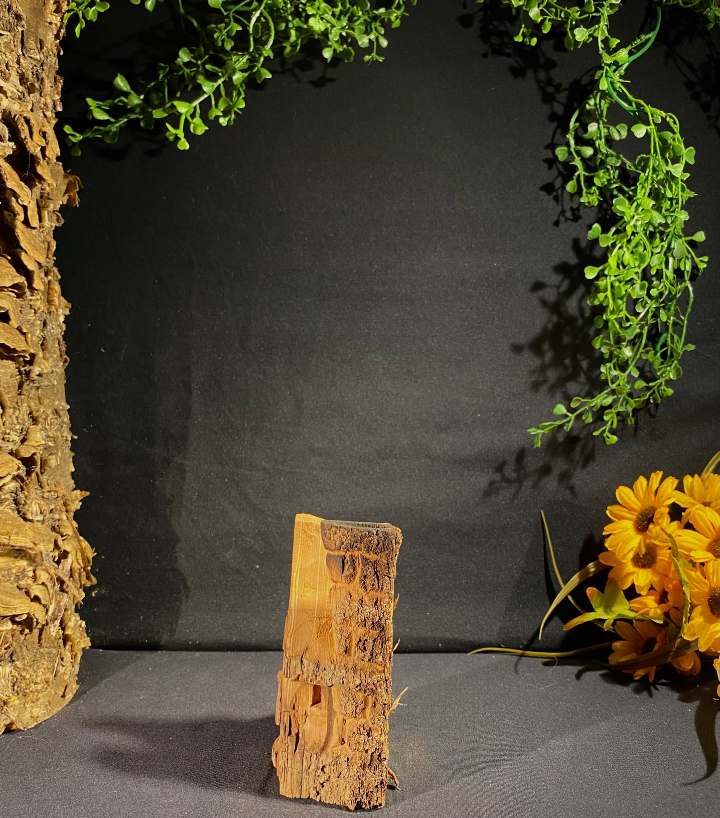 Bark House