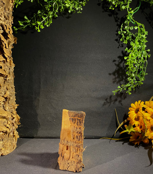 Bark House