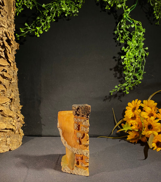 Bark House