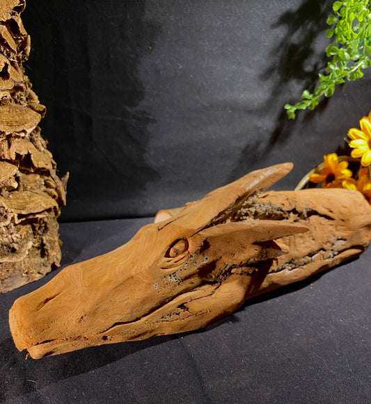 Dragon Head