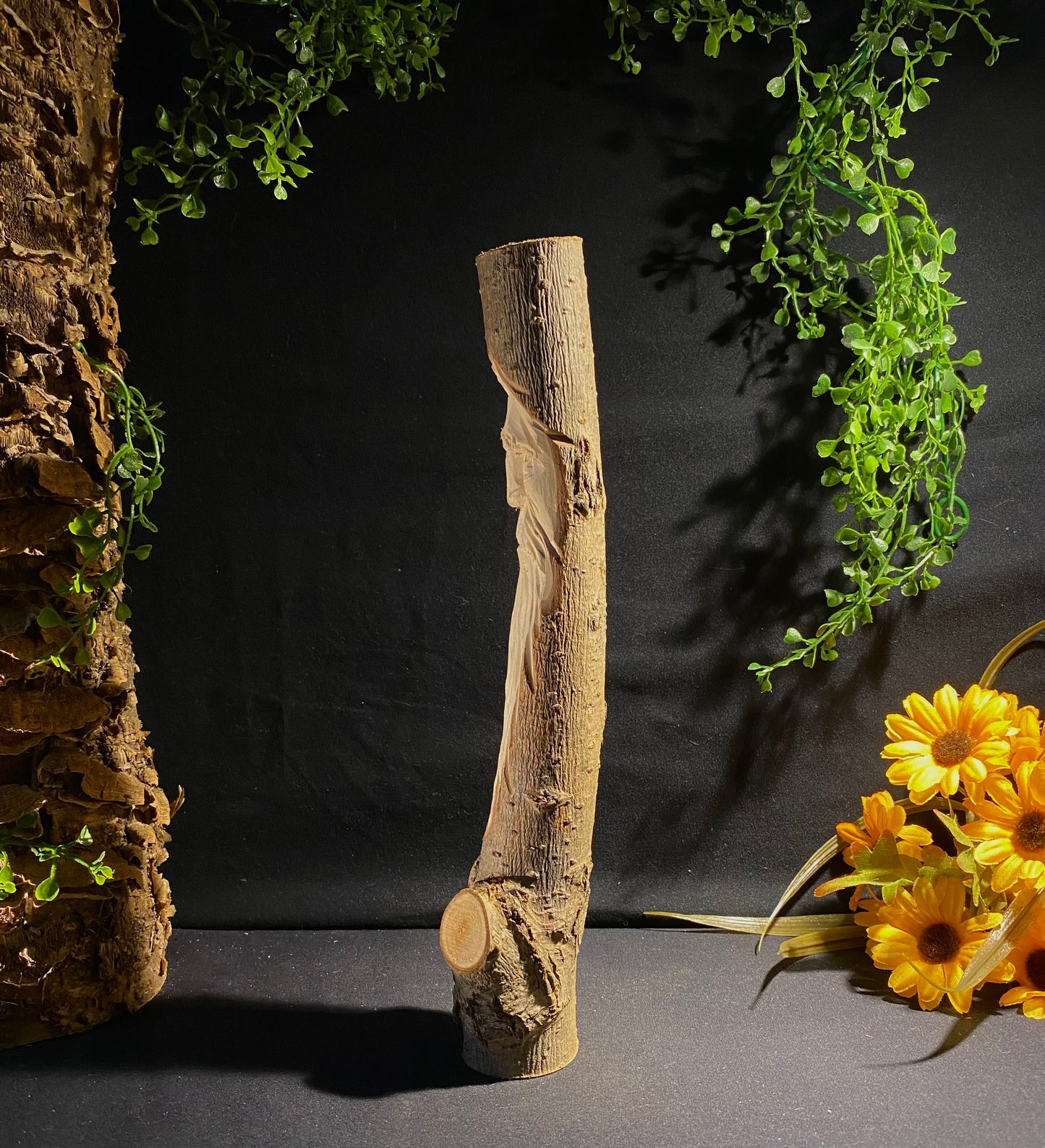 Branch Wizard